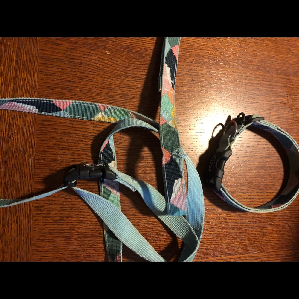 Chaco dog leash and collar